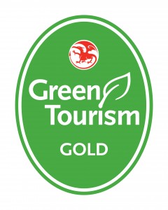 GTBS Wales Gold logo