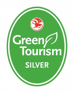 GTBS Wales Silver logo